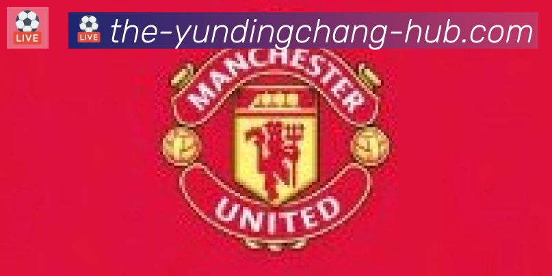云顶娱乐场合作伙伴