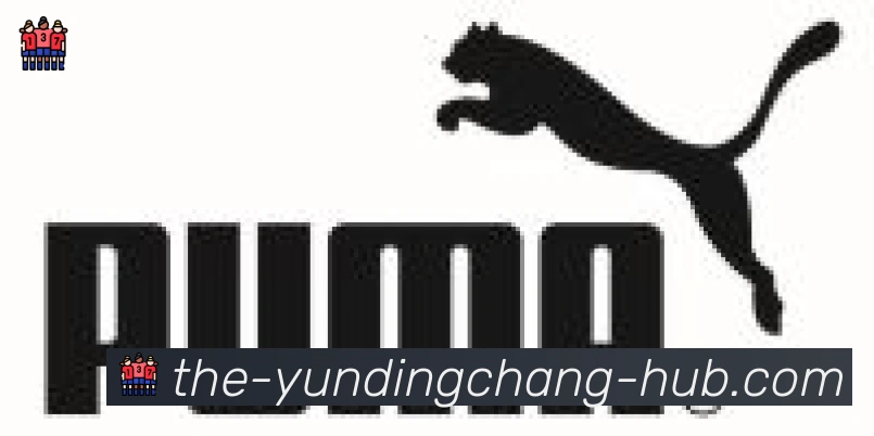 云顶娱乐场合作伙伴
